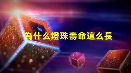 為什么燈珠壽命這么長(zhǎng) 日本人壽命為什么這么長(zhǎng)